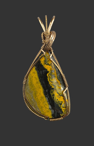 Bumble Bee Jasper